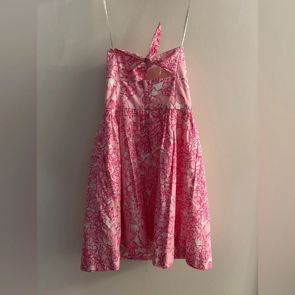NWT Lilly Pulitzer Richelle Dress featuring “She's a Fox" floral print.  Size 4. - Picture 3 of 5